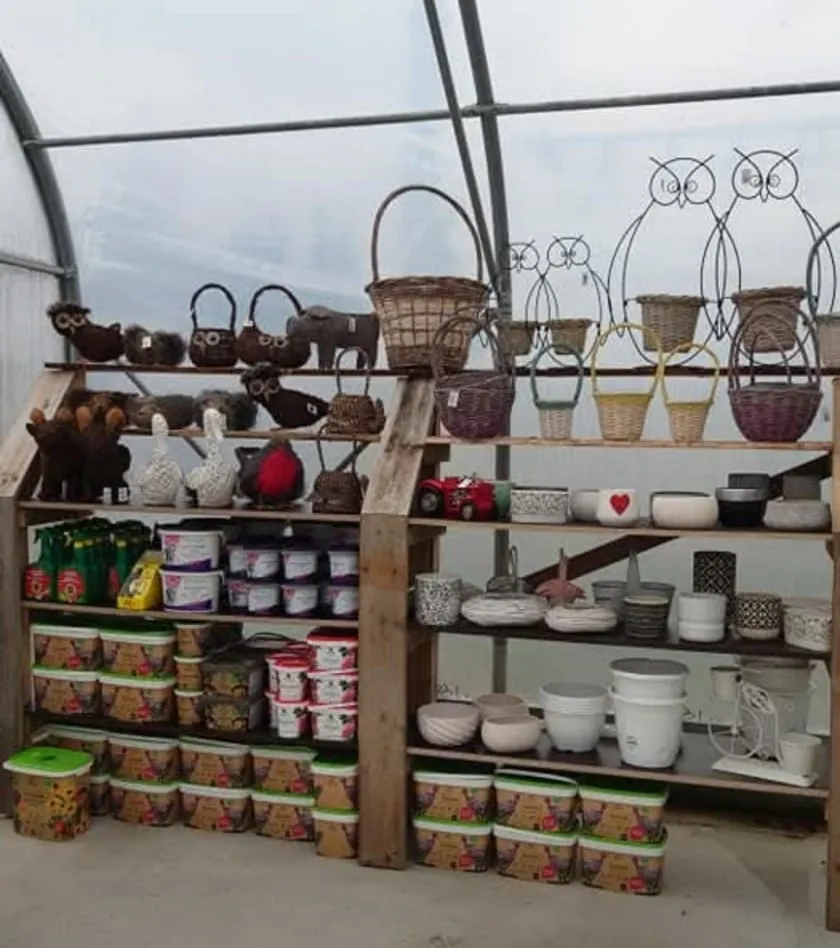 Koristeita ja ruukkuja