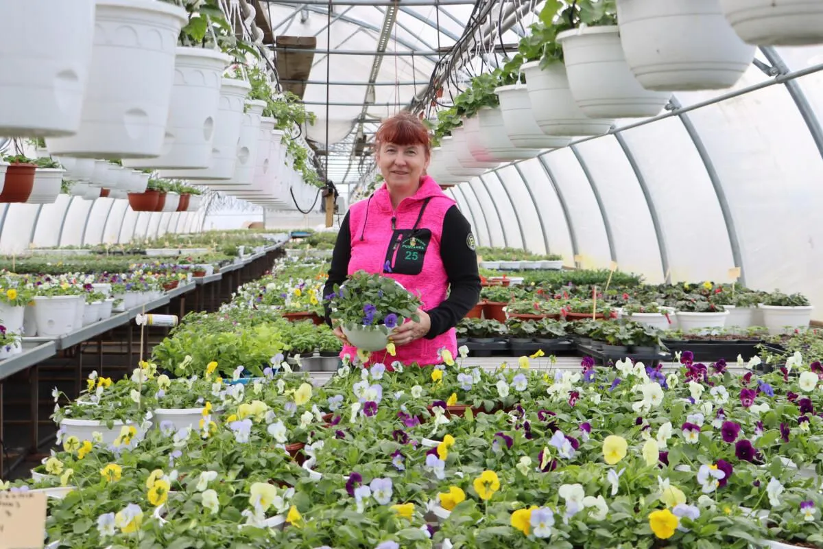 Erika kasvihuoneessa