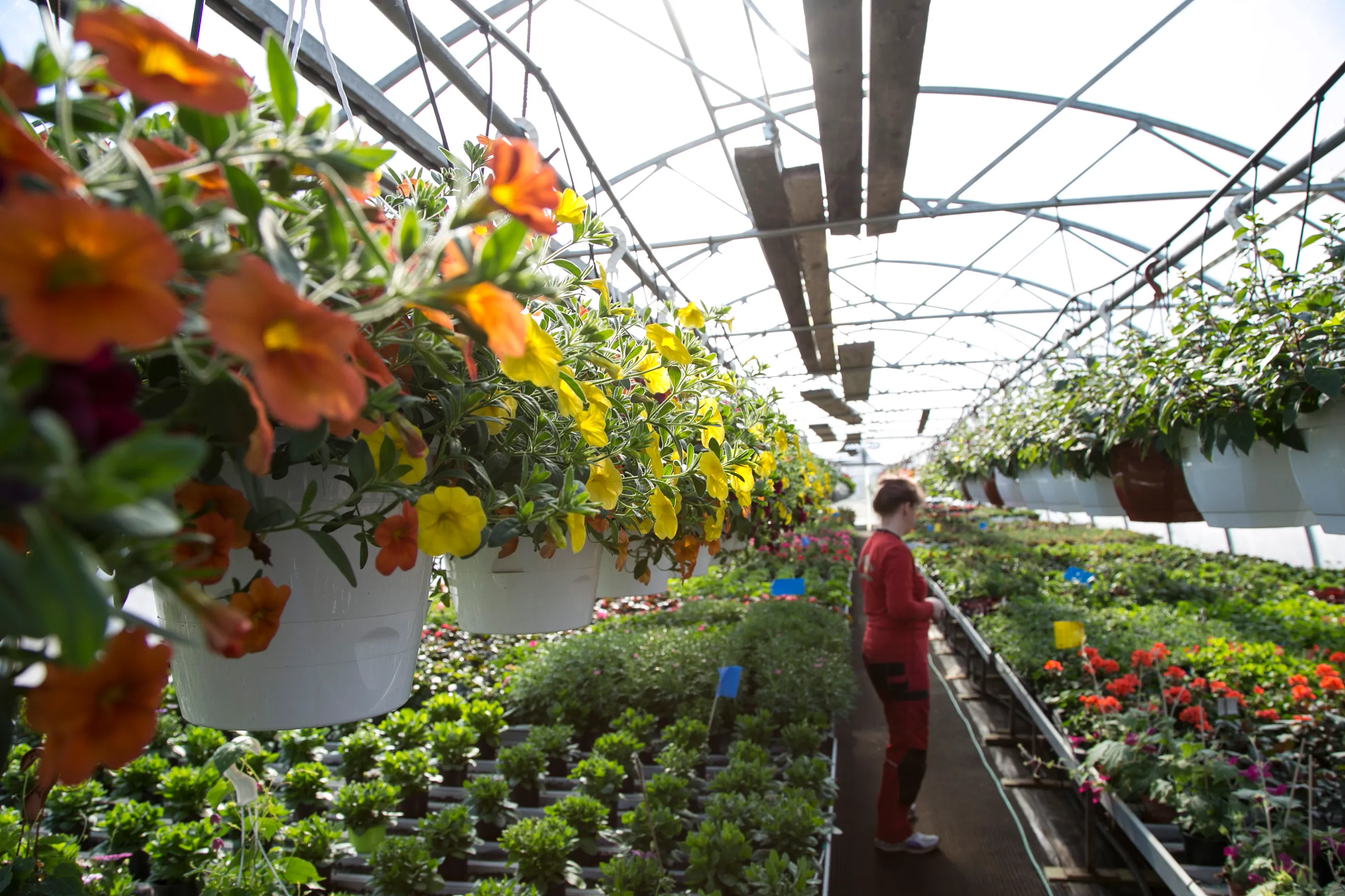 Puutarhapäivä ilmakuvassa