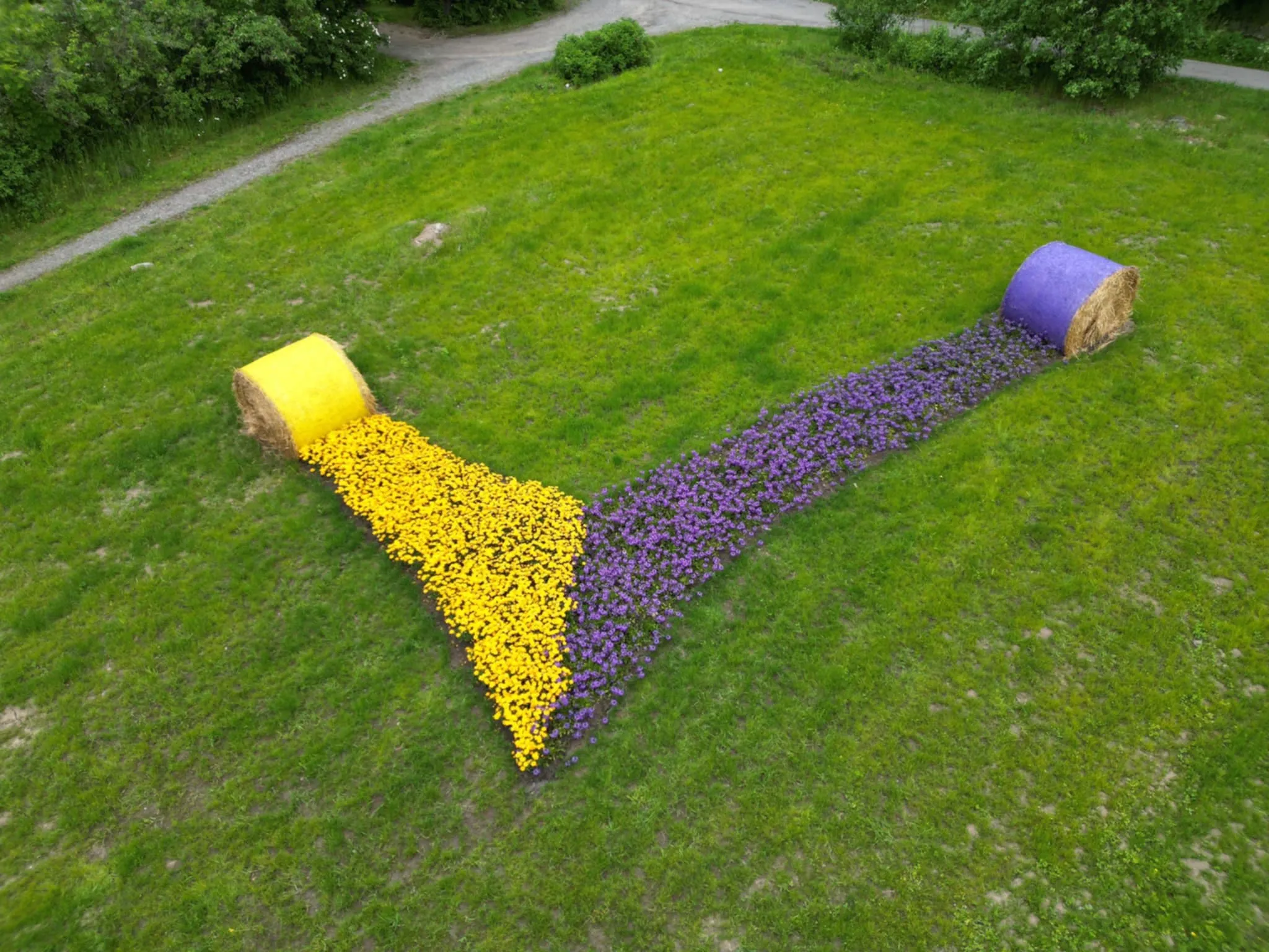 Heinäpaalitaide keltaisilla ja violeteilla kukilla