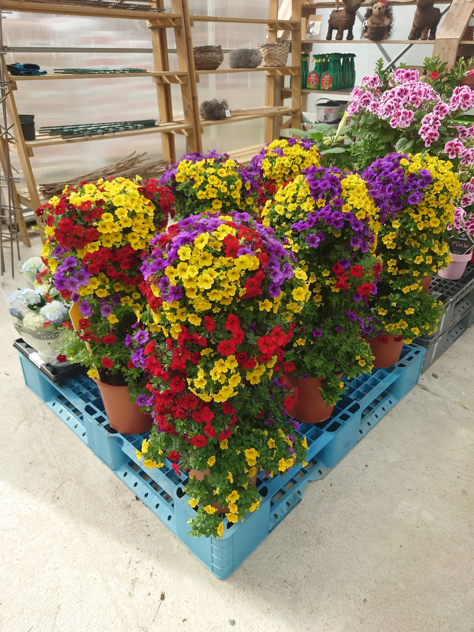 Ruukkuja ja kukkatukia